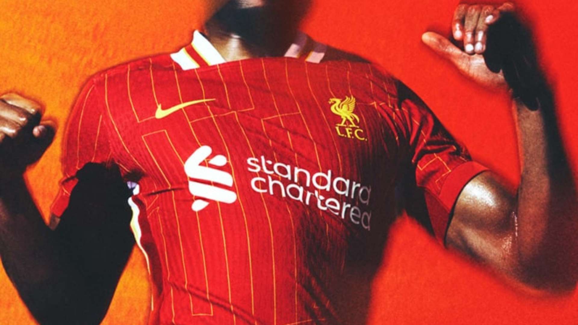 这或许是他 这或许是他